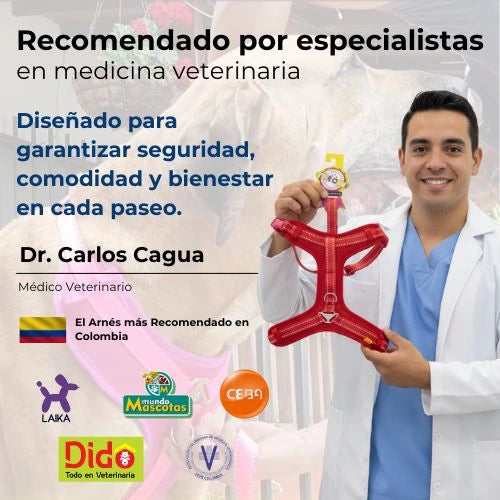 Arnés Anti-Tirones para Perros Grandes y Pequeños