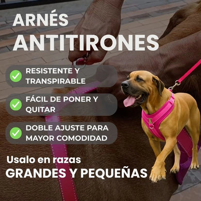 Arnés Anti-tirones